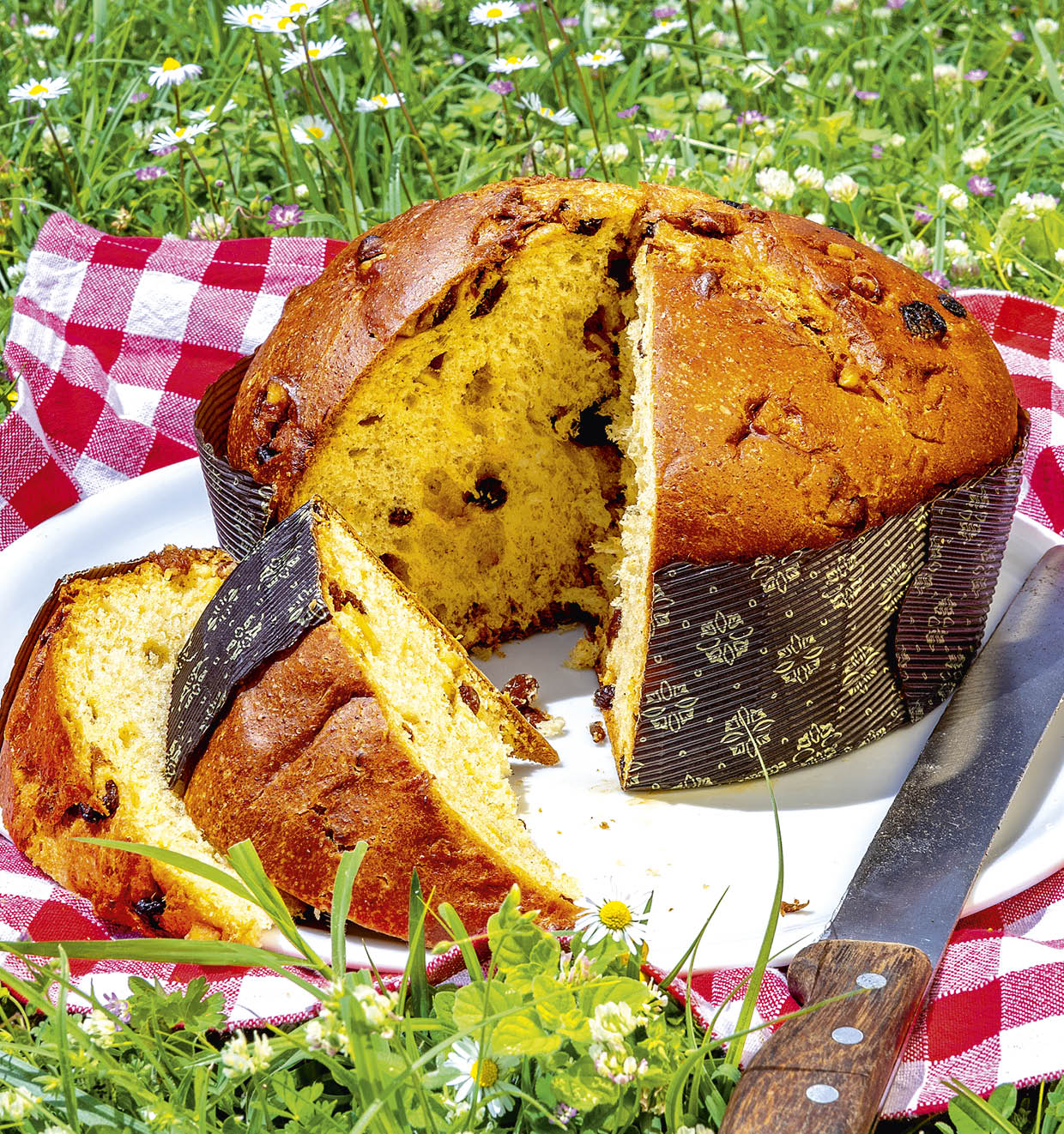 De biologische Panettone