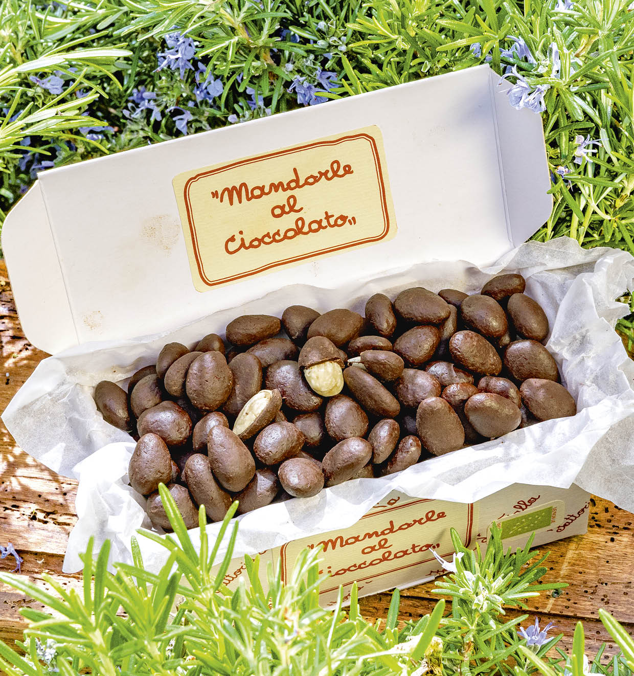 Organic Chocolate Coated Almonds