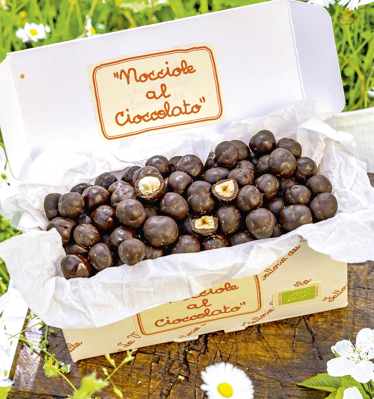 Organic Chocolate Coated Hazelnuts