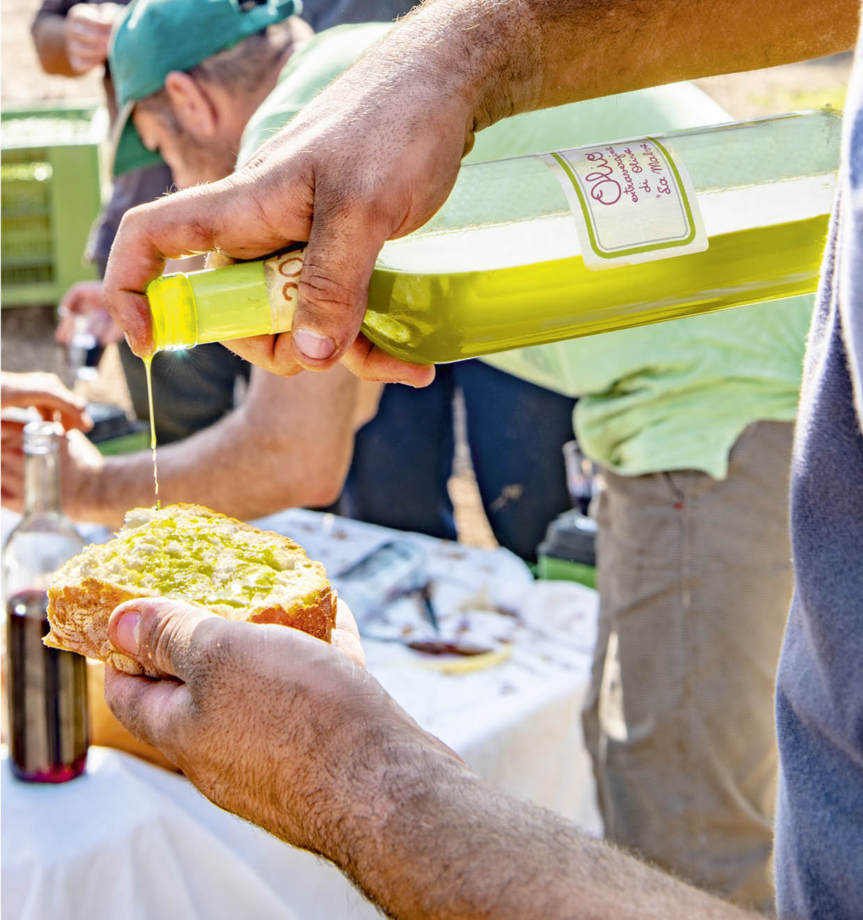 Extra Virgin Olive Oil 2024<br>'La Malva'