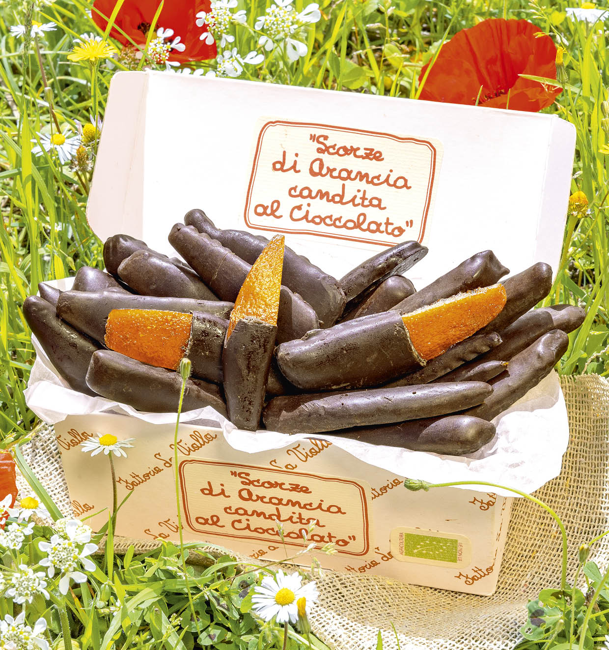 Organic Candied Orange Peel in Chocolate