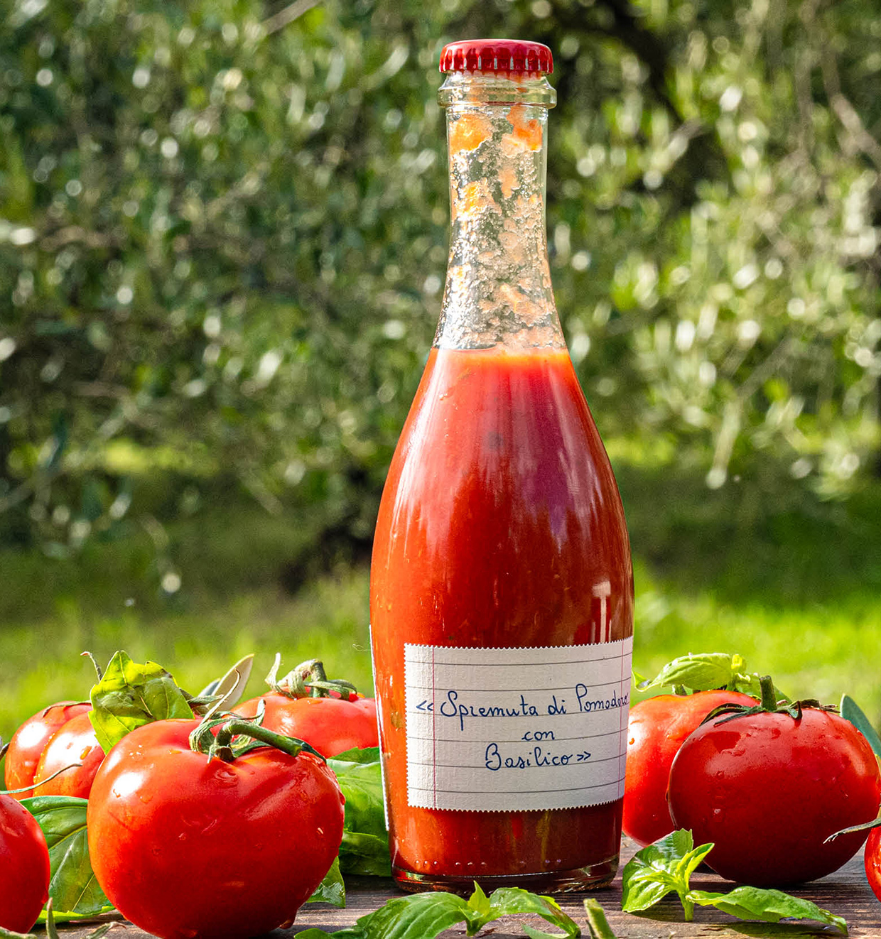 Freshly Squeezed Tomato Juice with Basil