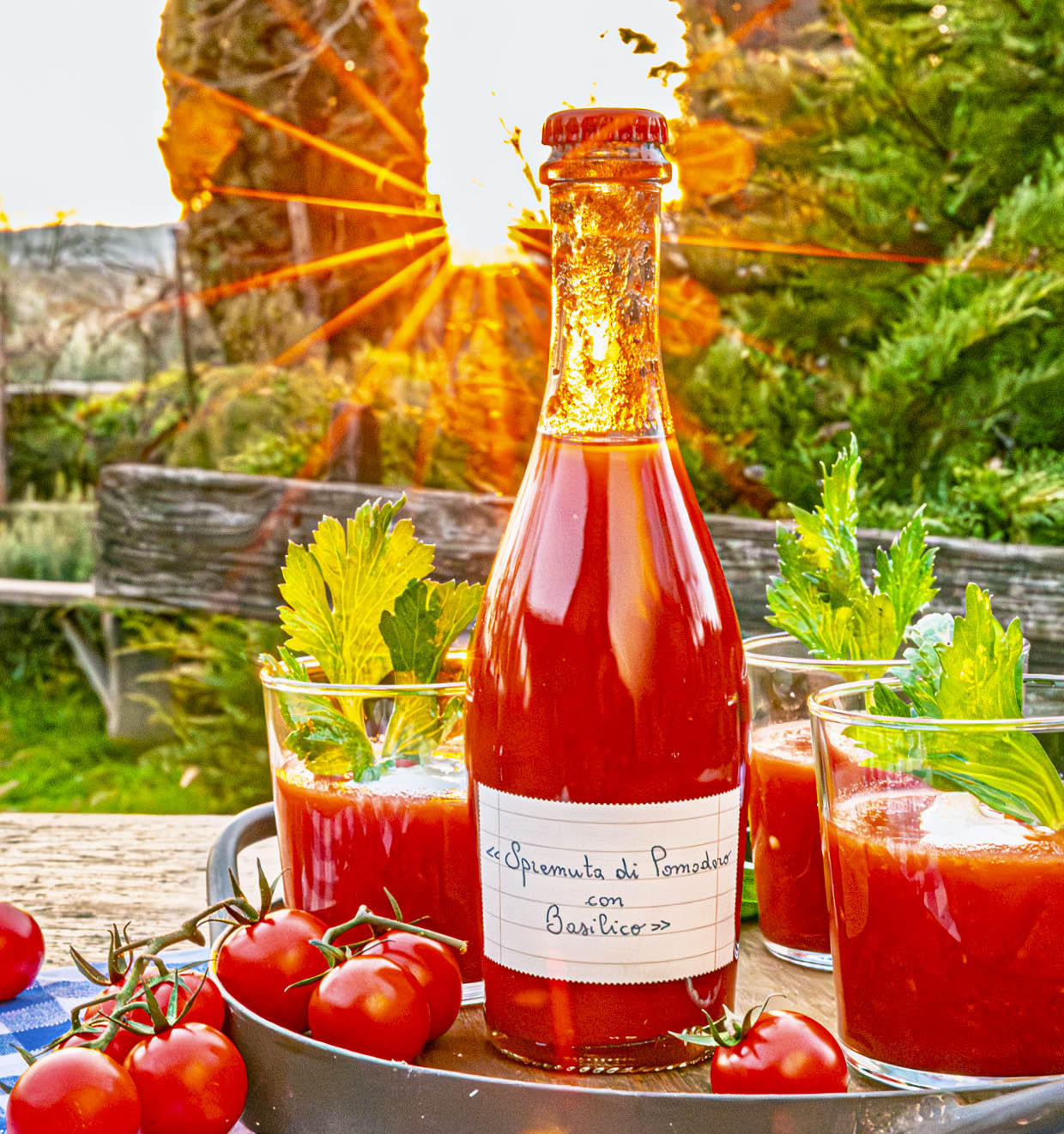 Frisch gepresster Tomatensaft mit Basilikum