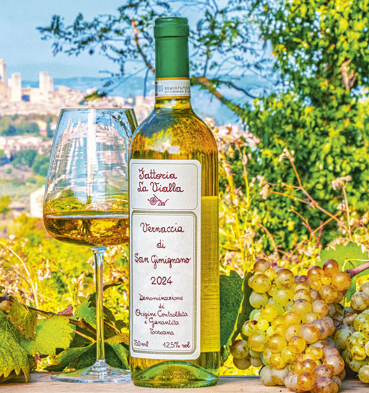 Vernaccia di San Gimignano D.O.C.G. 2024